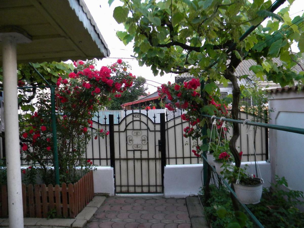 Delta Florilor Hotel Sulina Exterior photo